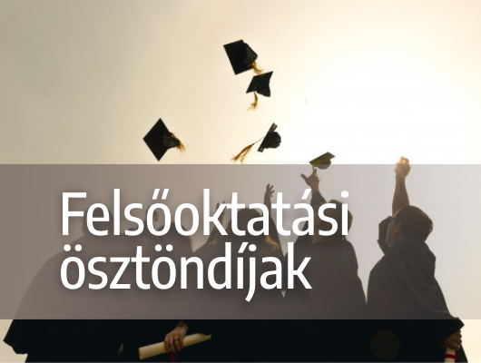 Thumbnail for the post titled: Felsőoktatási ösztöndíjak